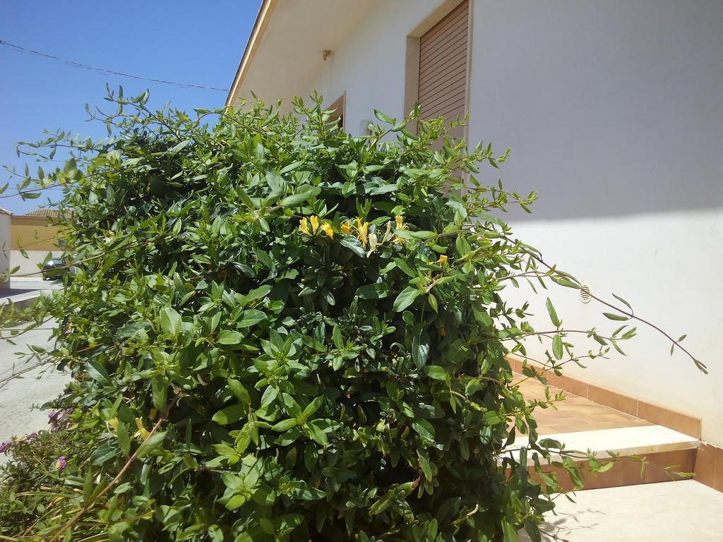Casa Bianca da Giusy Guest House Birgi Vecchi Bagian luar foto